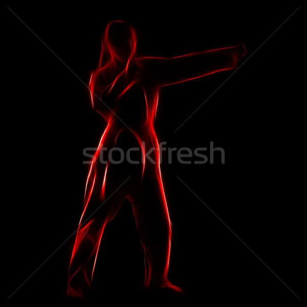 Fractal portrait of karate girl Stock photo © zastavkin