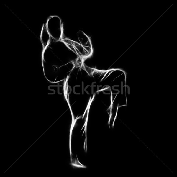 Fractal portrait of karate girl Stock photo © zastavkin