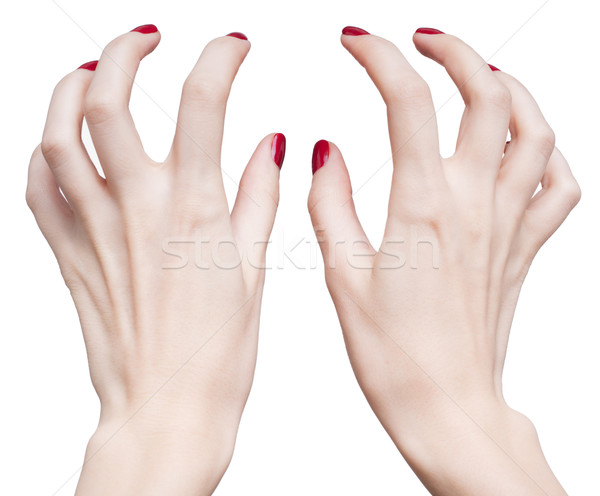 Manos rojo manicura profesional uñas de color rojo aislado Foto stock © zastavkin