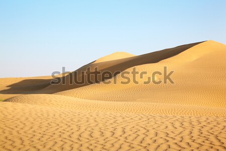 Sand dunes Stock photo © zastavkin