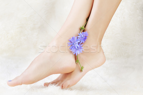 Stock photo: healthy legs and flower