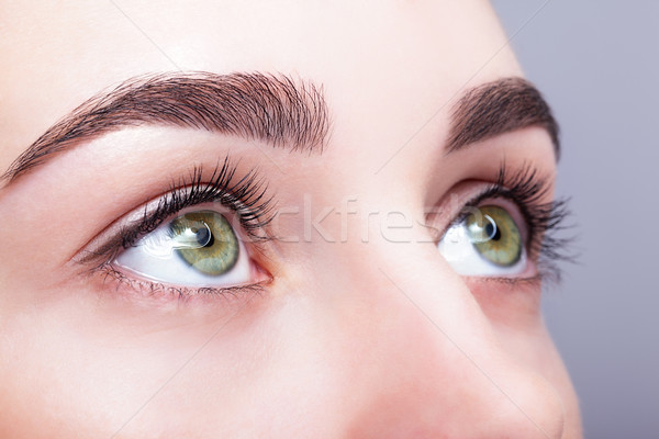 Stock photo: female eye zone and brows with day makeup