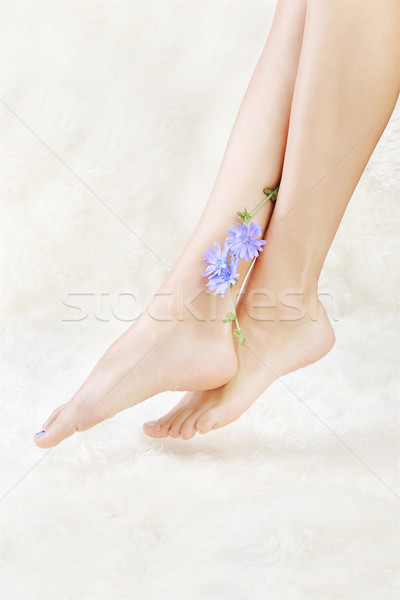 healthy legs and flower Stock photo © zastavkin