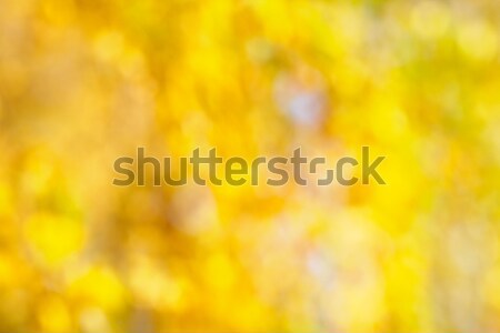 Autumn bokeh background Stock photo © zastavkin