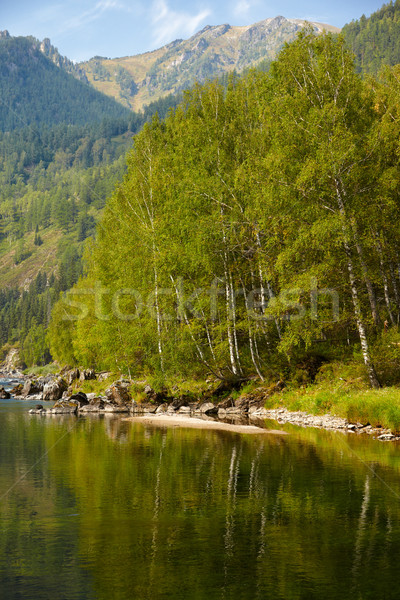 Rzeki górskich niebo drewna lasu krajobraz Zdjęcia stock © zastavkin