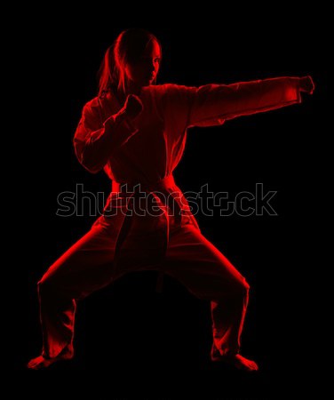 Karate Mädchen Silhouette Porträt schönen Kampfkünste Stock foto © zastavkin