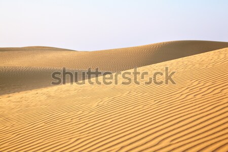 Sand dunes Stock photo © zastavkin