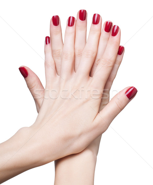 Mains rouge manucure professionnels ongles rouges isolé [[stock_photo]] © zastavkin