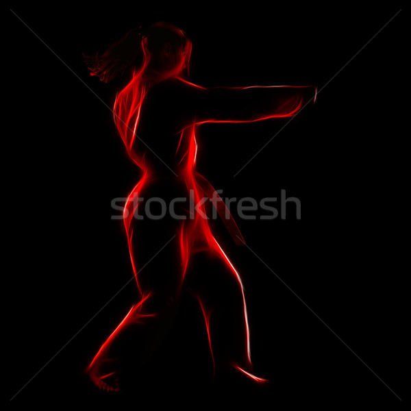 Stock foto: Porträt · Karate · Mädchen · Silhouette · schönen