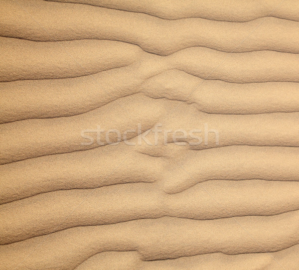 Homok sivatag textúra természet háttér hullámok Stock fotó © zastavkin
