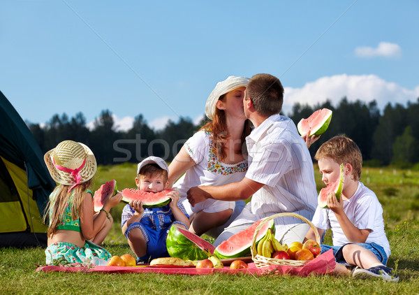 Aile piknik park açık grup portre Stok fotoğraf © zastavkin