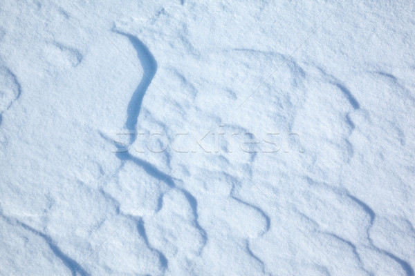 Snow Texture Stock Photo C Sergey Pristyazhnyuk Zastavkin 2786939 Stockfresh