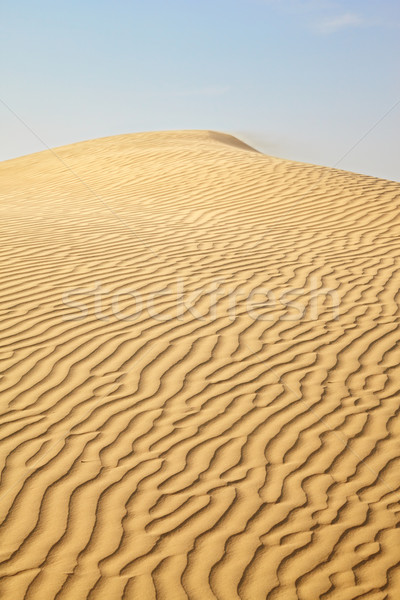 Sand dunes Stock photo © zastavkin