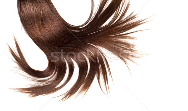 Gezonde haren menselijke bruin haar witte geïsoleerd Stockfoto © zdenkam