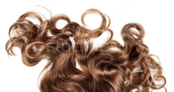 Saudável cabelo humanismo cabelo castanho branco isolado Foto stock © zdenkam
