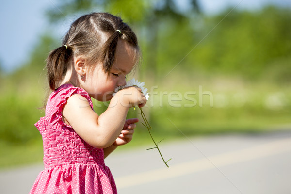 Stock foto: Kleinkind · Blume · Mädchen · Sommer · Frühling