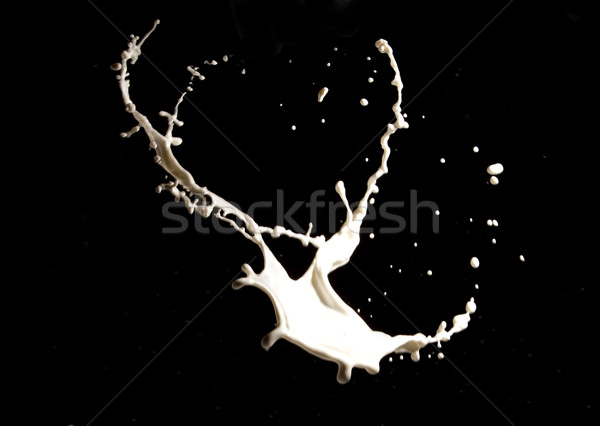 Stockfoto: Melk · splash · witte · zwarte · abstract · achtergrond