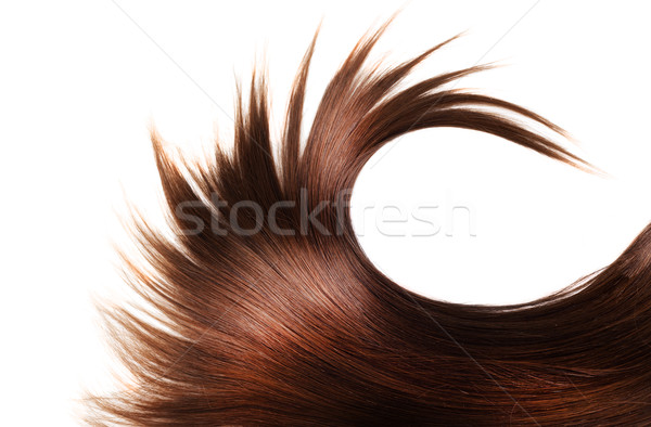 Sani capelli umani capelli castani bianco isolato Foto d'archivio © zdenkam