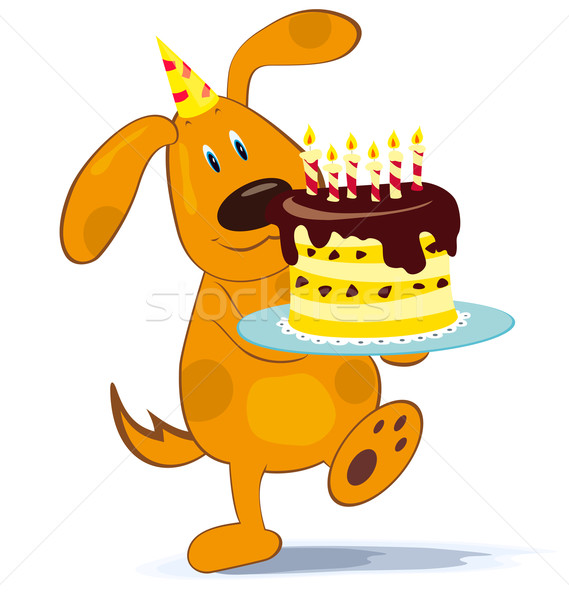 dog with cake