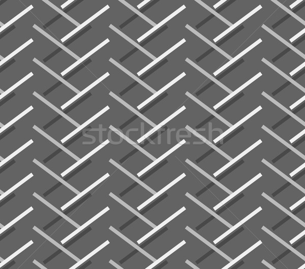Monochrome pattern with diagonal gray doubled stripes forming ch Stock photo © Zebra-Finch