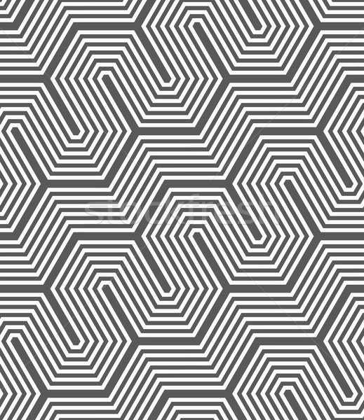 Monochroom diagonaal hek naadloos geometrisch patroon grijs Stockfoto © Zebra-Finch