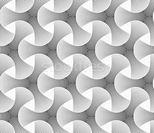 Monochrome gradually striped tetrapods Stock photo © Zebra-Finch