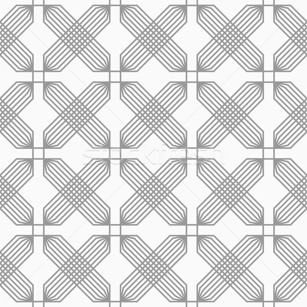 Slim gray hatched rectangles reticulated Stock photo © Zebra-Finch