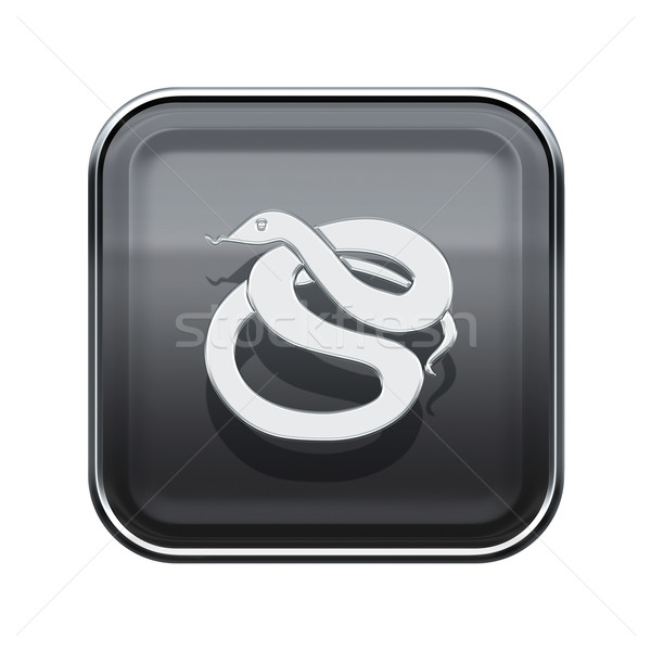 Foto stock: Serpente · zodíaco · ícone · cinza · isolado · branco