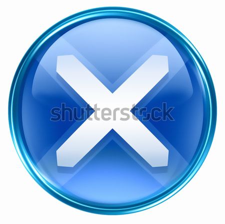 Sluiten icon Blauw geïsoleerd witte licht Stockfoto © zeffss