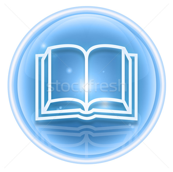 book icon ice, isolated on white background. Stock photo © zeffss