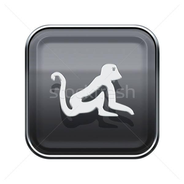 Monkey Zodiac icon grey, isolated on white background. Stock photo © zeffss