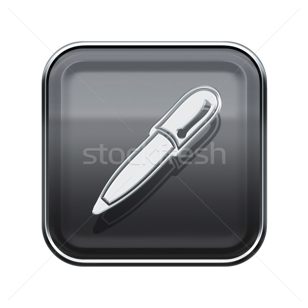 Pen icon glossy grey, isolated on white background Stock photo © zeffss