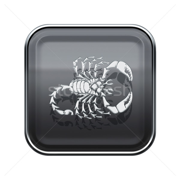 Scorpio zodiac icon grey, isolated on white background Stock photo © zeffss