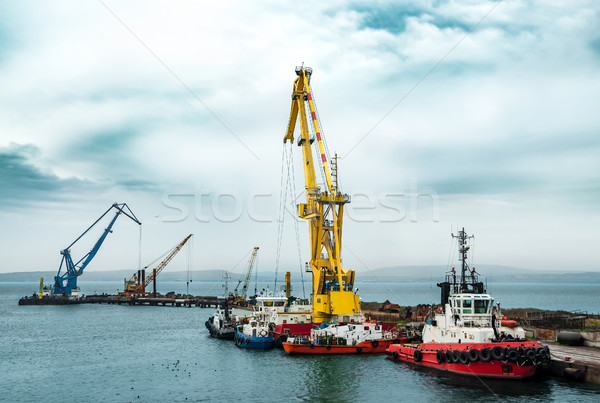 Floating cranes on the construction Stock photo © zeffss