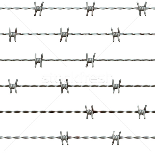 Barbed wire, isolated on white background Stock photo © zeffss