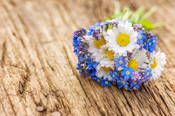 Bouquet with daisies and forget-me-not Stock photo © Zerbor