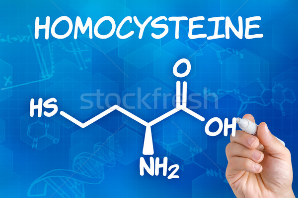 Hand with pen drawing the chemical formula of homocysteine Stock photo © Zerbor