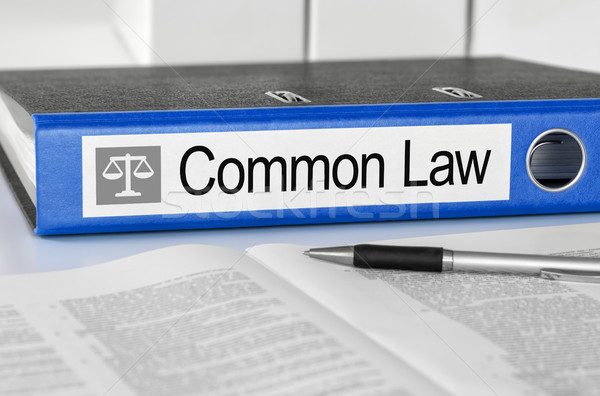 Blue folder with the label Common Law Stock photo © Zerbor