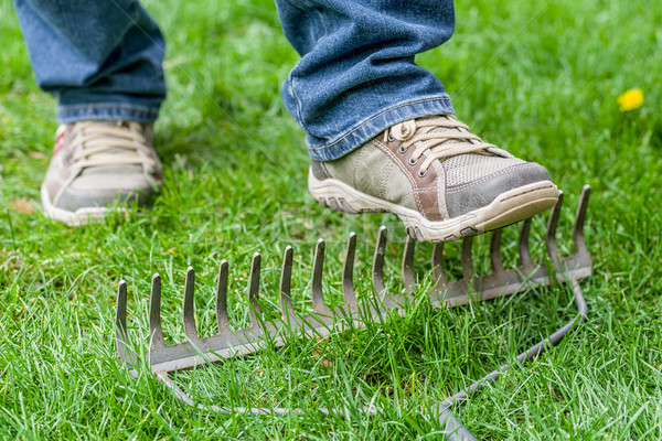 A man stepping accidentally on a rake Stock photo © Zerbor
