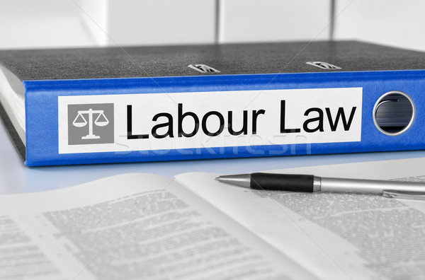 Blue folder with the label Labour Law Stock photo © Zerbor