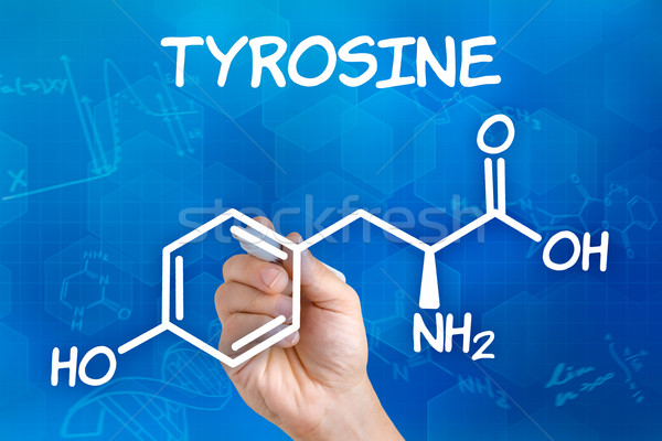 Hand with pen drawing the chemical formula of tyrosine Stock photo © Zerbor