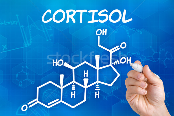 Hand with pen drawing the chemical formula of cortisol Stock photo © Zerbor