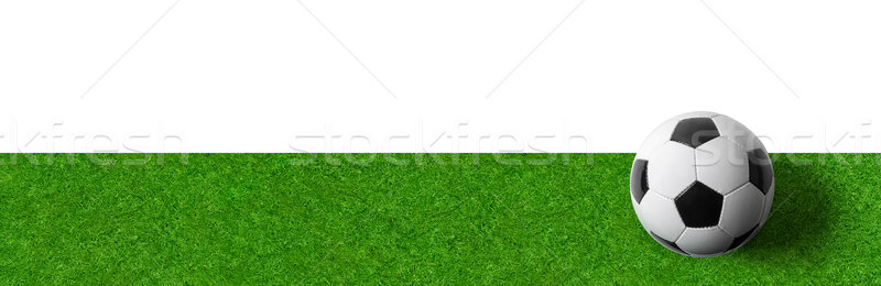 Terrain de football balle blanche texture football sport [[stock_photo]] © Zerbor