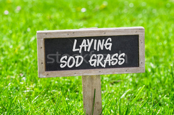 Sign on a green lawn - Laying sod grass Stock photo © Zerbor