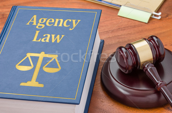 A law book with a gavel - Agency law Stock photo © Zerbor