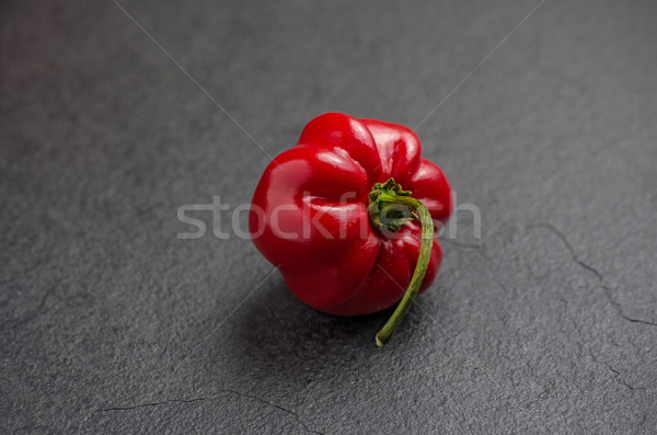 red habanero on slate plate Stock photo © Zerbor