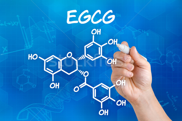 Hand with pen drawing the chemical formula of EGCG Stock photo © Zerbor