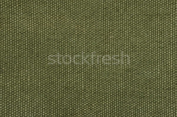 Olive green cotton texture  Stock photo © Zerbor