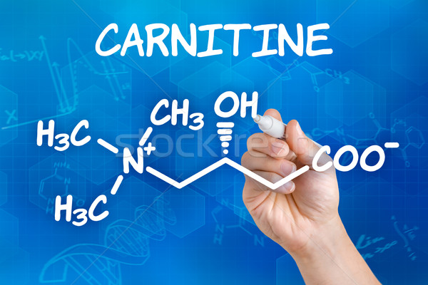 Hand with pen drawing the chemical formula of carnitine Stock photo © Zerbor