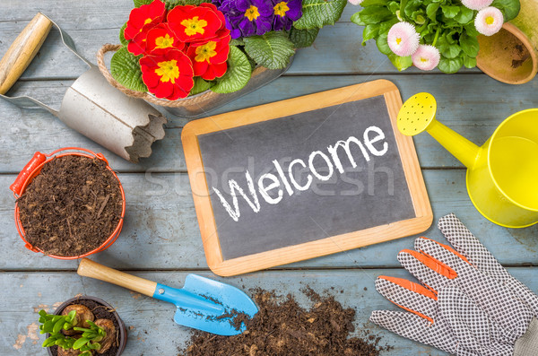 Blackboard on a plant table with garden tools - Welcome Stock photo © Zerbor